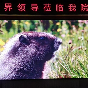 江西南昌室內全彩屏